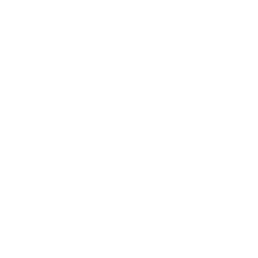 Actiw icon - email